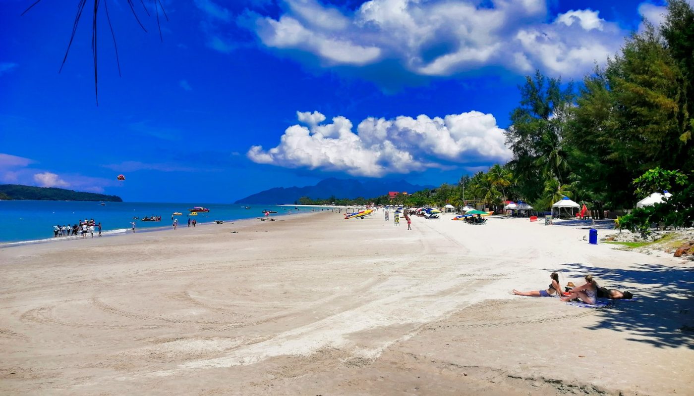 people on beach during daytime
