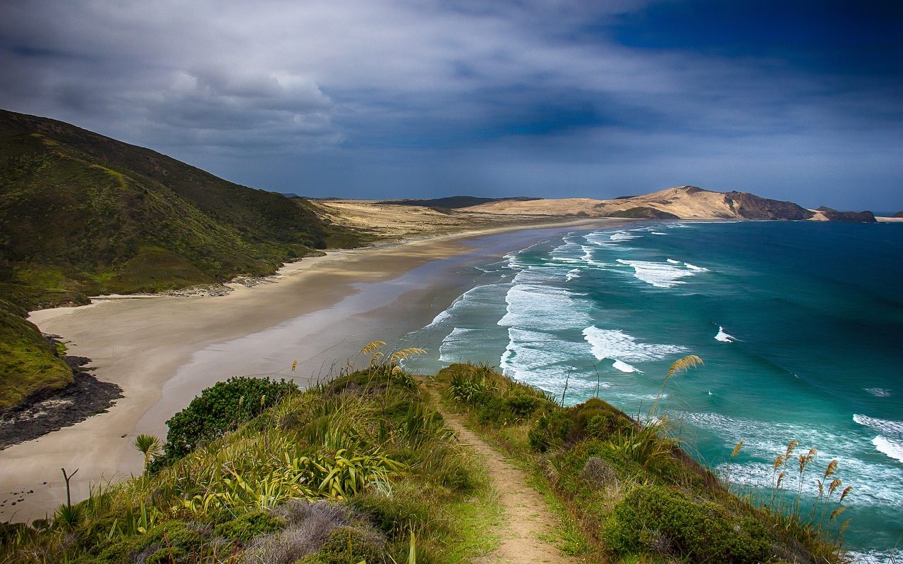 summer in New Zealand 