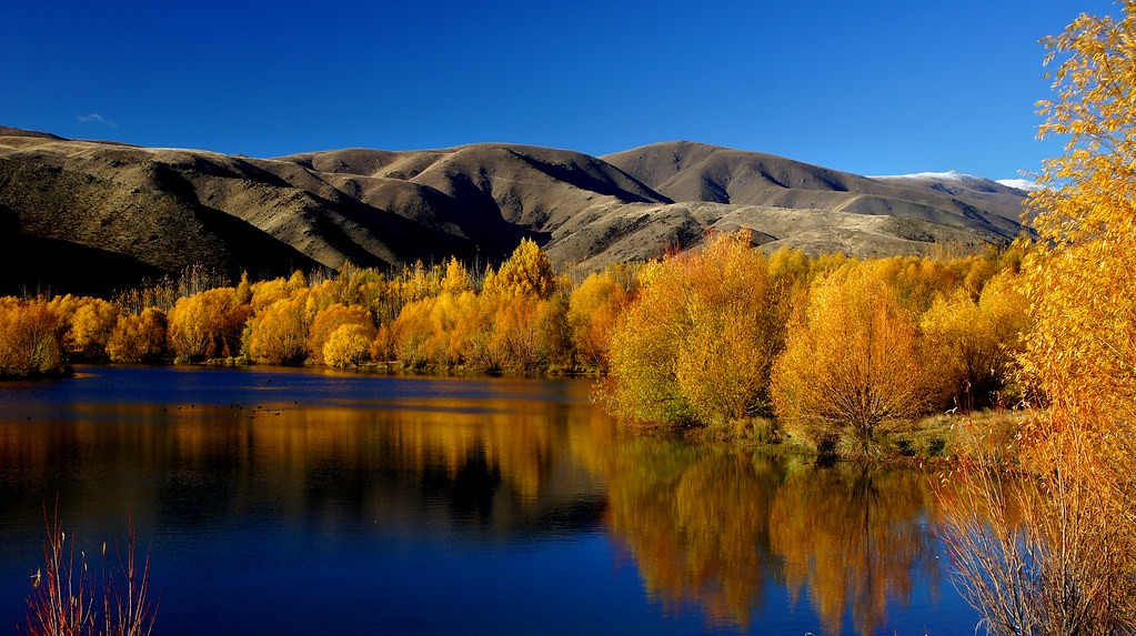 autumn in New Zealand 