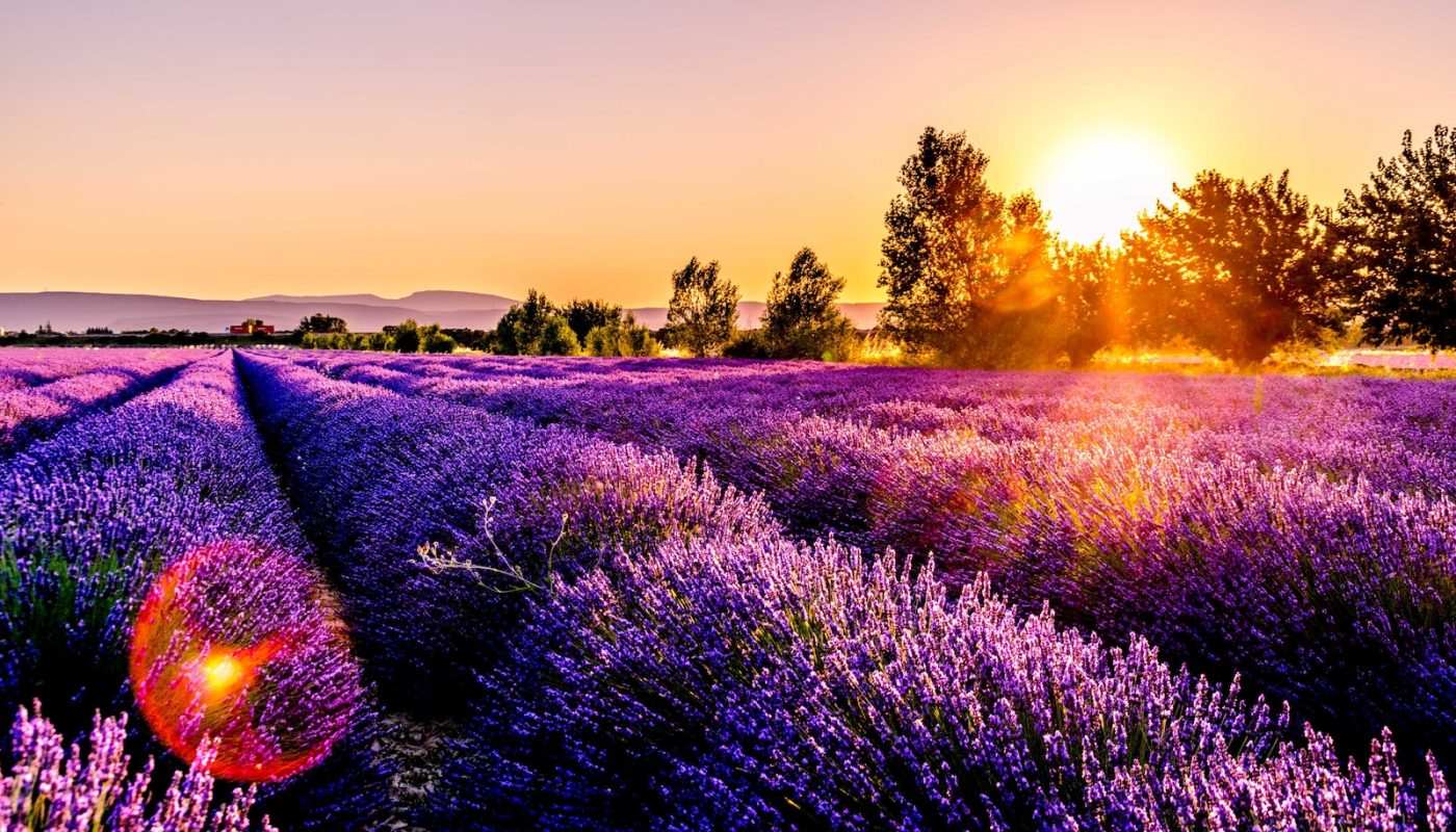 The Best Month to Visit France