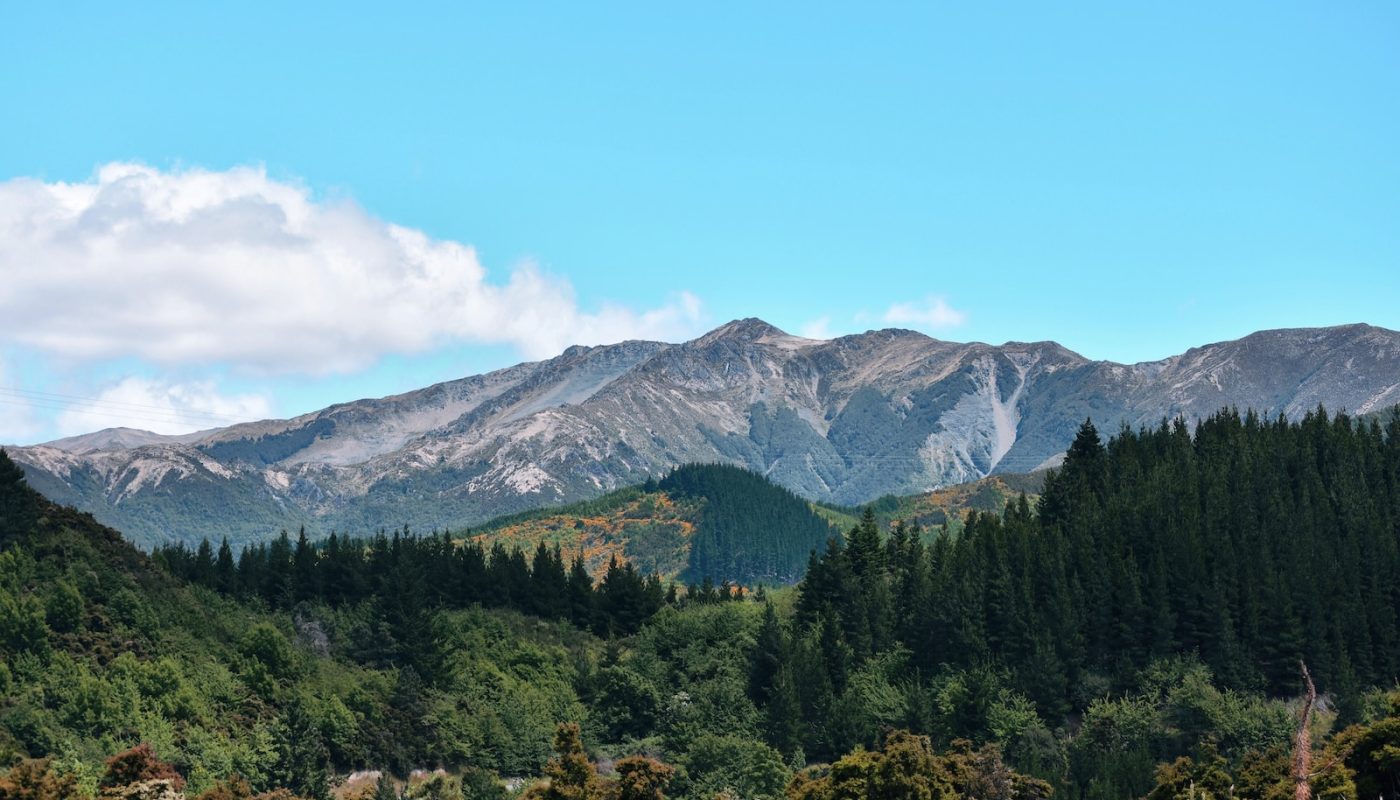 spring in New Zealand 
