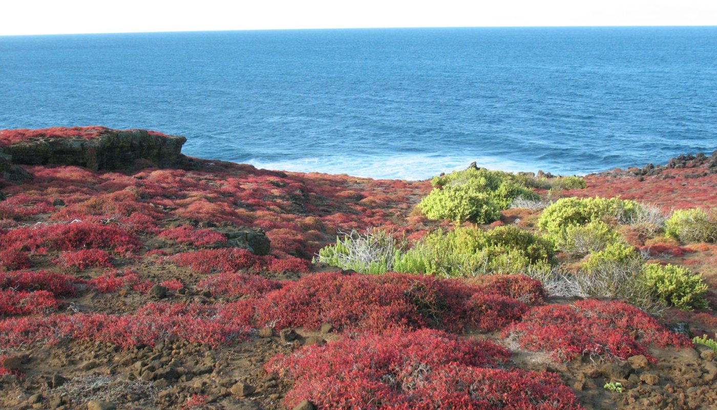 Galapagos Islands