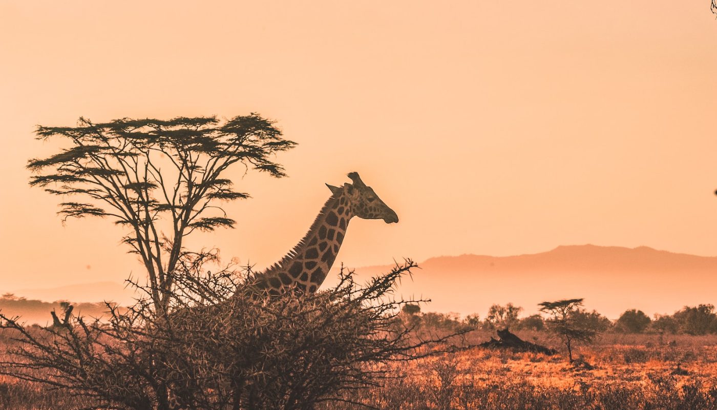 Kenya