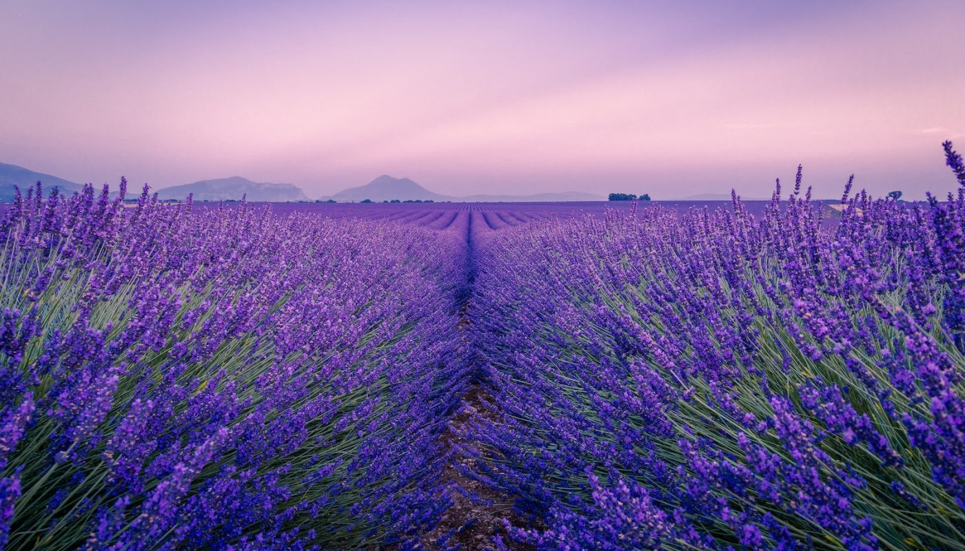 The Best Month to Visit France
