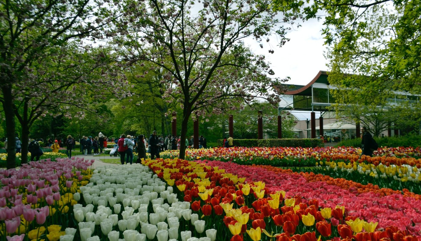 The Most Beautiful Place in Netherlands