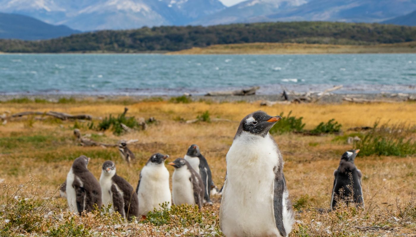 Argentina Vacation Spots
